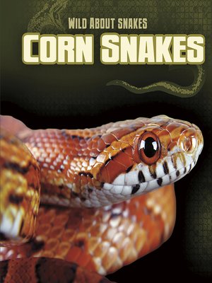 cover image of Corn Snakes